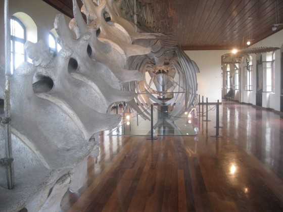 My Photography: My Photos