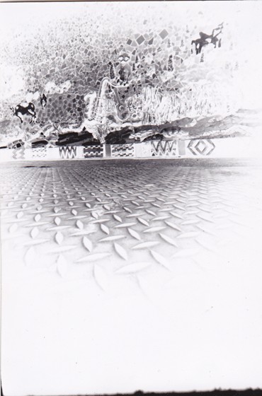 My Photography: My Photos