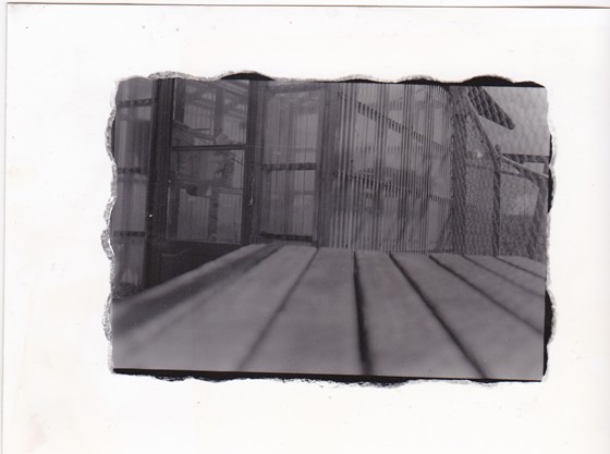 My Photography: My Photos