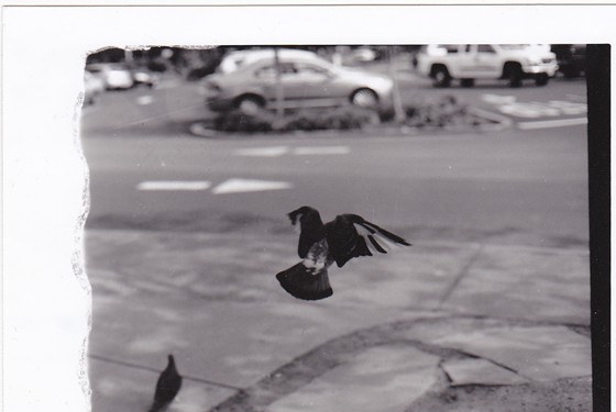 My Photography: My Photos