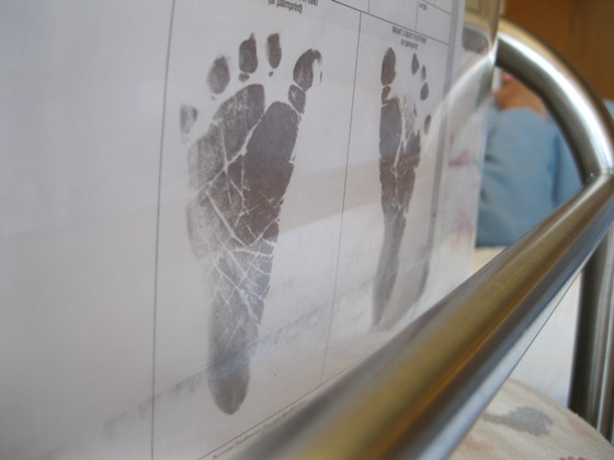 My Photography: My Photos